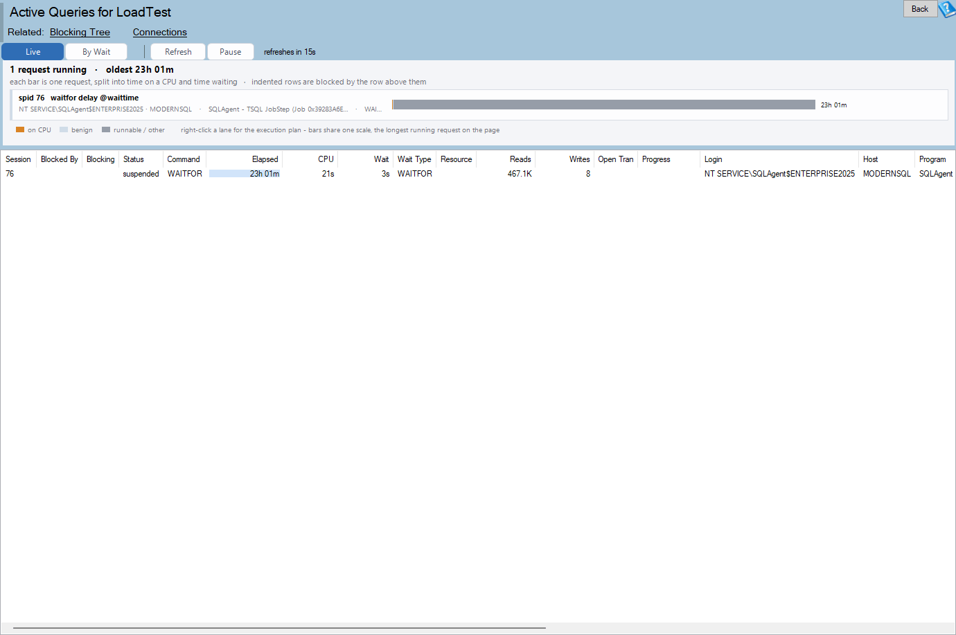 The Active Queries report