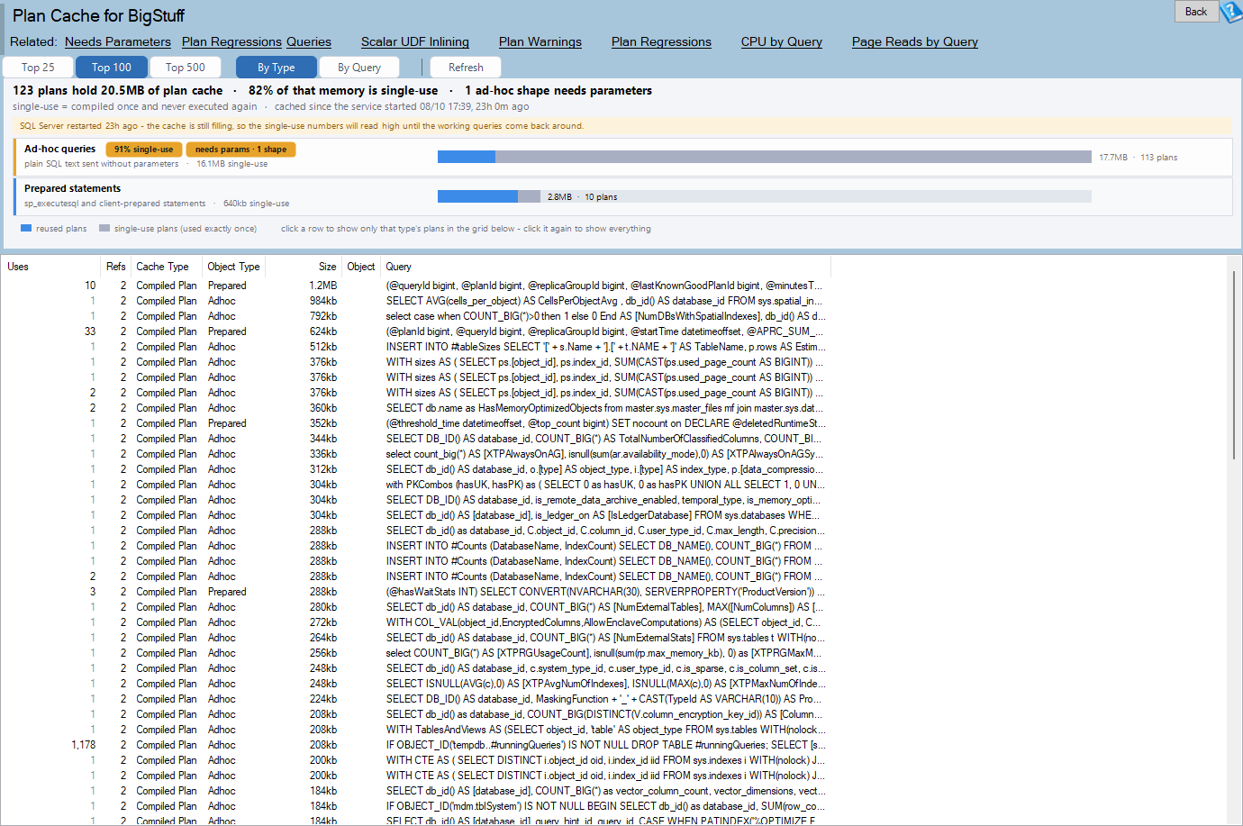 The Plan Cache report