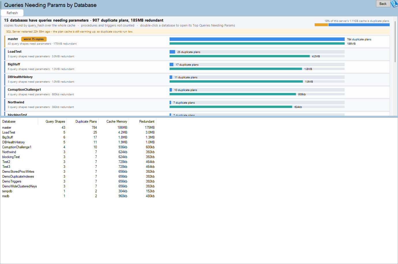The Queries Needing Params by Database report