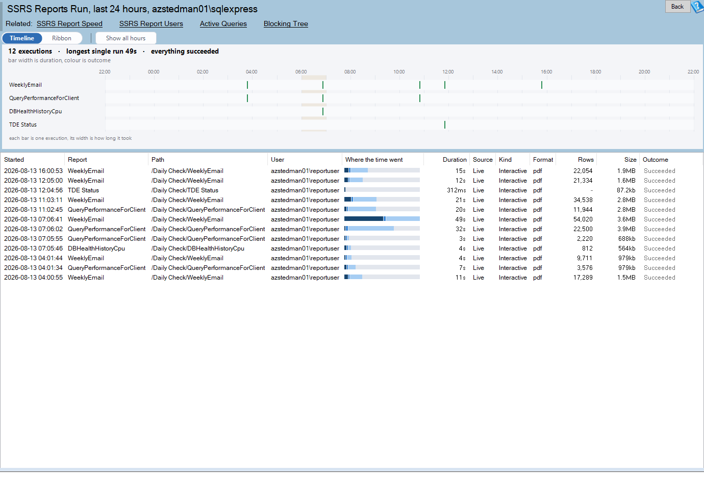 The SSRS Reports Run timeline: one lane per report over twenty four hours