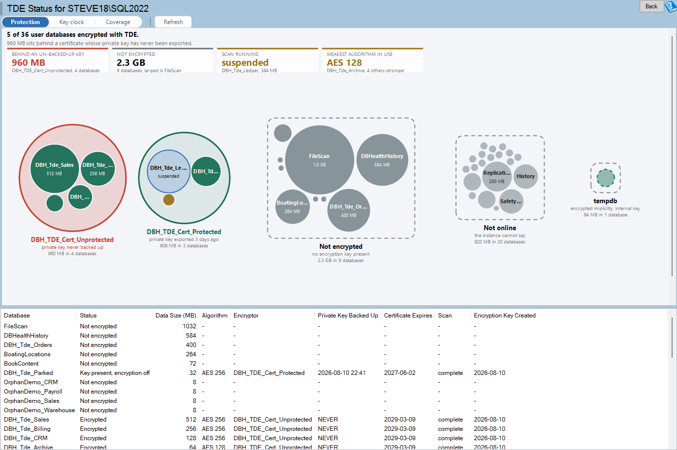 The TDE Status report: toolbar, stat strip, protection map and grid